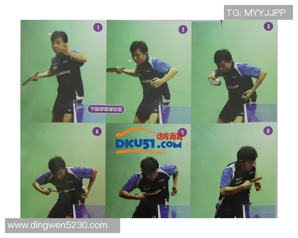 乒乓球新手必读：从零基础到比赛高手的全面入门指南